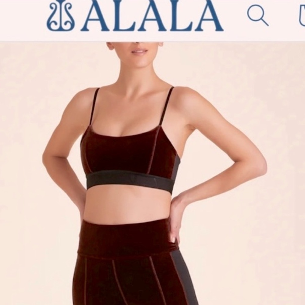 Alala x Revolve NWT Velvet Bra Mocha Brown Adjustable Straps Sporty Small - Picture 2 of 10
